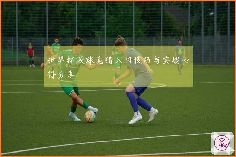 世界杯滚球竞猜入门技巧与实战心得分享