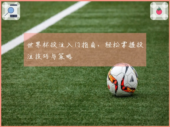 世界杯投注入门指南，轻松掌握投注技巧与策略