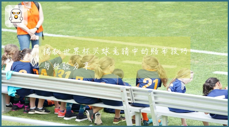 揭秘世界杯买球竞猜中的赔率技巧与经验分享