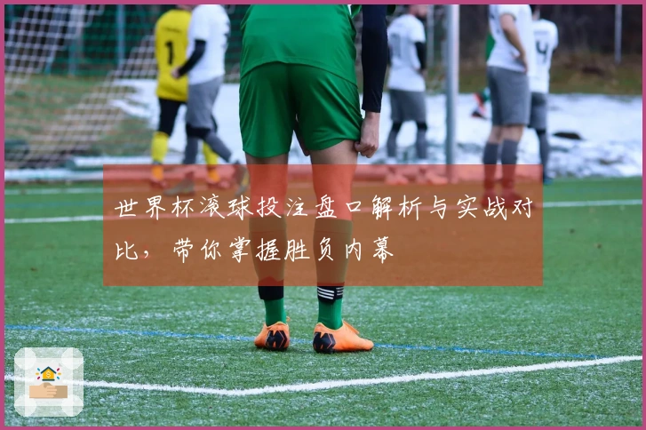 世界杯滚球投注盘口解析与实战对比，带你掌握胜负内幕