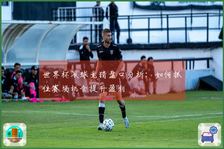 世界杯滚球竞猜盘口分析：如何抓住赛场机会提升盈利