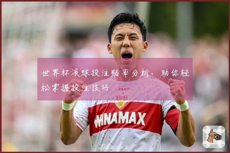 世界杯滚球投注赔率分析，助你轻松掌握投注技巧