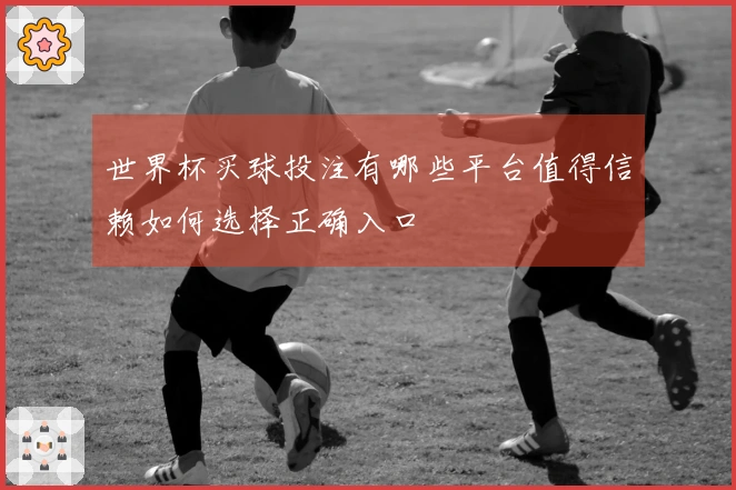 世界杯买球投注有哪些平台值得信赖如何选择正确入口