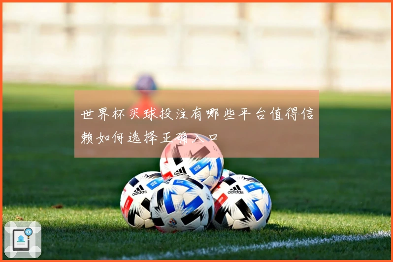 世界杯买球投注有哪些平台值得信赖如何选择正确入口